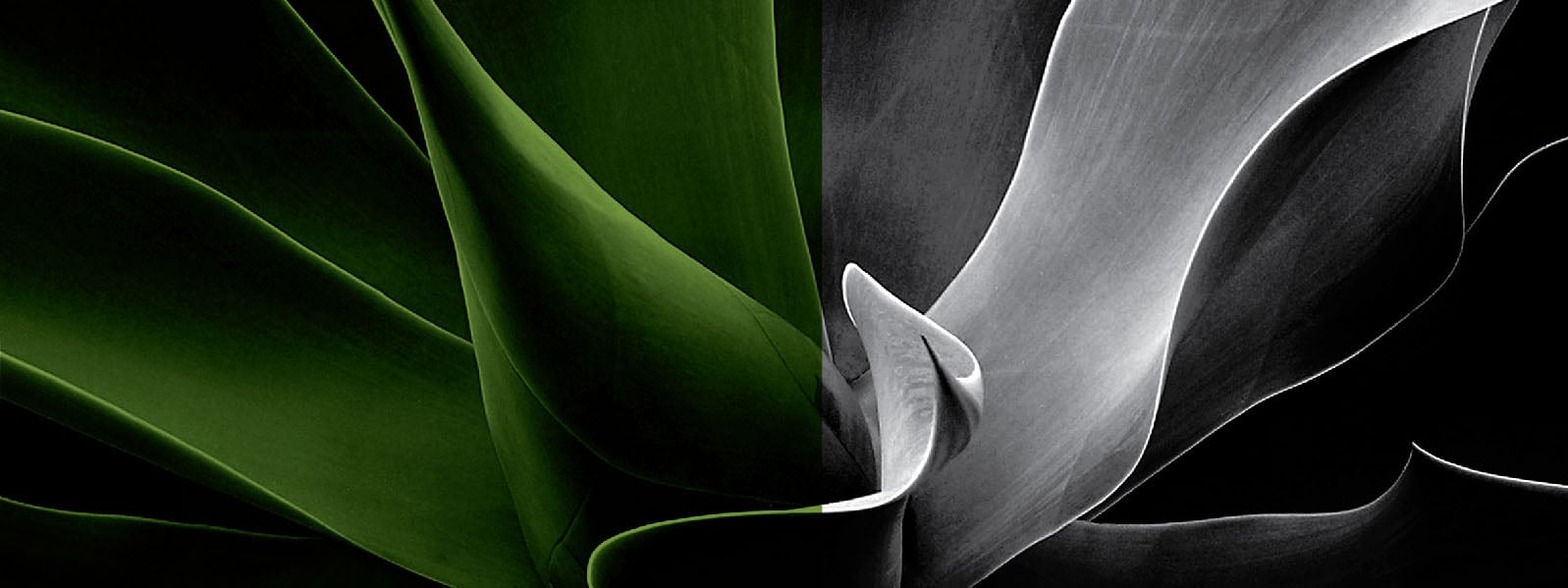 about-1600x600